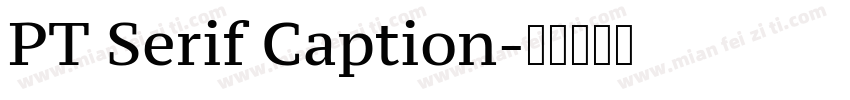PT Serif Caption字体转换